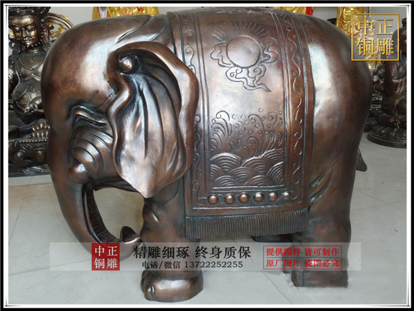 11346841773_576238483.jpg 11346841773_576238483.jpg